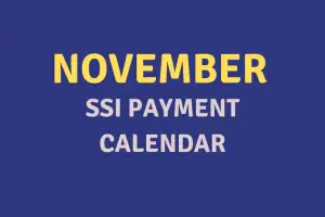 "November 2020 SSI Payment Schedule"
